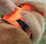 Orion Deep-Space All-Weather Harness