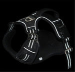 Orion Deep-Space All-Weather Harness