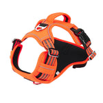 Orion Deep-Space All-Weather Harness